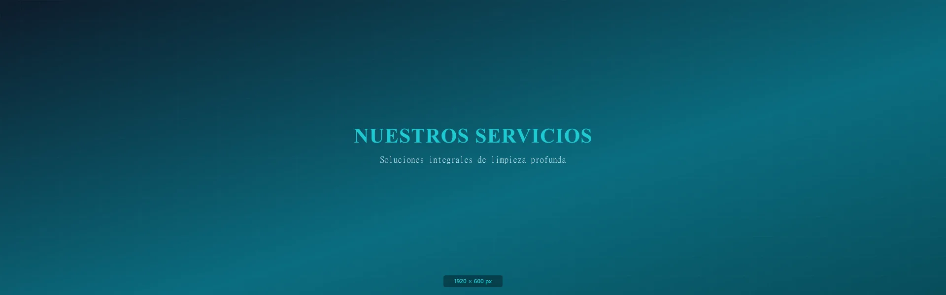 Especialistas en limpieza profesional AseoSOS